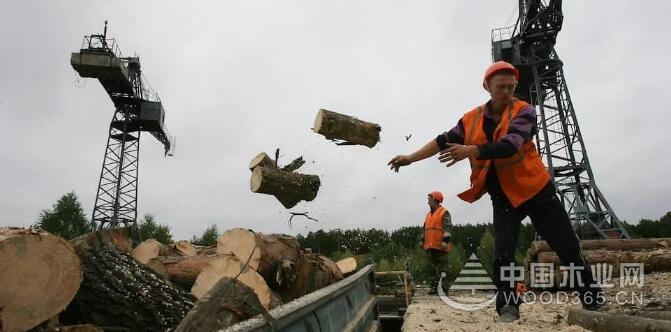 2022˹ֹҶԭľּӹľ