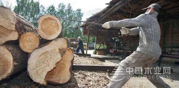 2022˹ֹҶԭľּӹľ