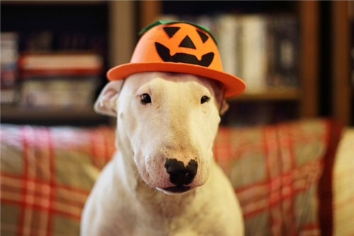 9daf-kffctcc5322527.jpg 9daf-kffctcc5322527.jpg