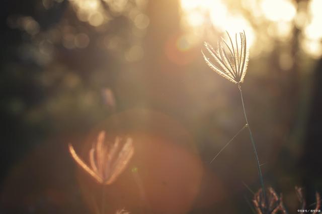 267f9e2f07082838fa072a65afd0f3094c08f10f.jpg 267f9e2f07082838fa072a65afd0f3094c08f10f.jpg