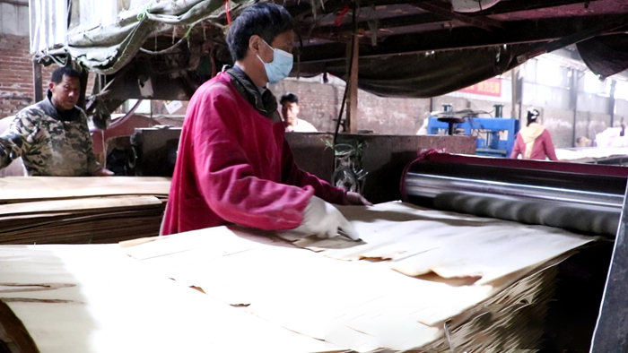 ľ۵ҵȺ ɽ۩ľļӹҵչ