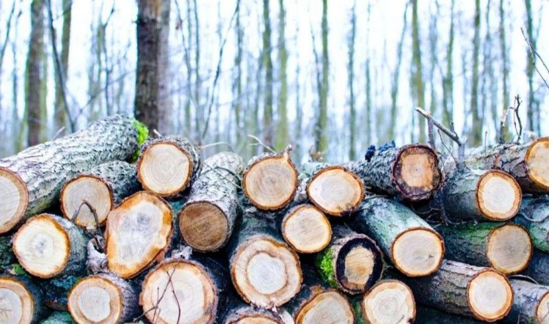 ľļӹҵ40%塢ذҵ»91%_2